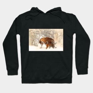 Image: Tiger family Hoodie